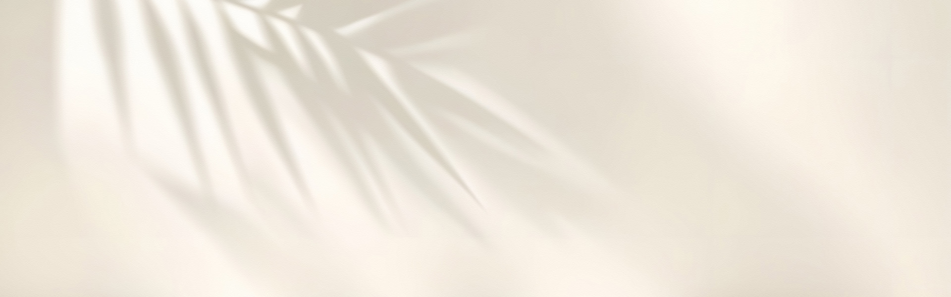 メインビジュアル1